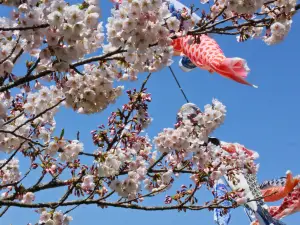 Tenshochi