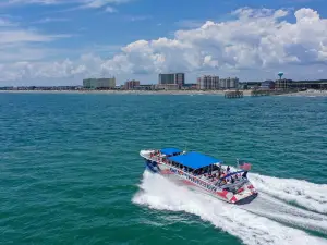 Sea Thunder Dolphin Cruise