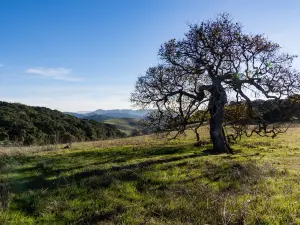 Helen Putnam Regional Park