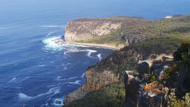 Shipstern Bluff