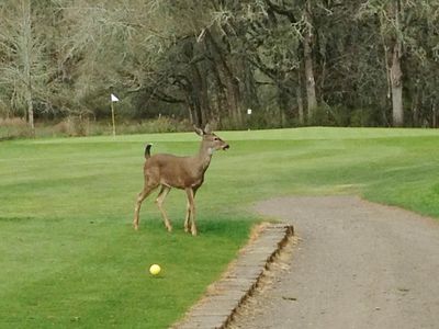 McKay Creek Golf Course & Driving Range
