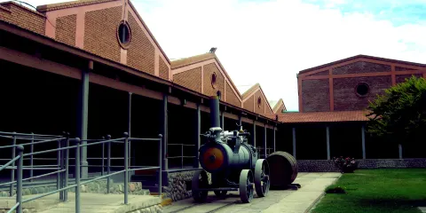 Museo del Vino Bodega Graffigna