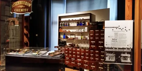 Melton Carnegie Museum