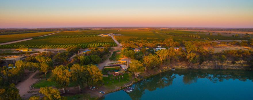 Caudo Vineyard