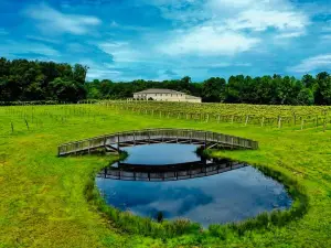DelMonaco Winery & Vineyards