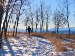 Ann and Sandy Cross Conservation Area