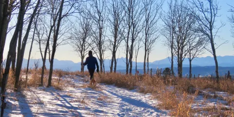 Ann and Sandy Cross Conservation Area