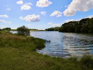 Talkin Tarn Country Park