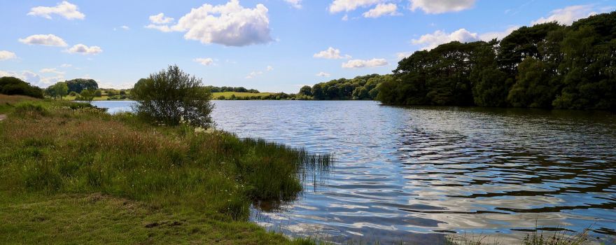 Talkin Tarn Country Park