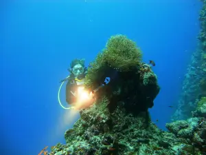 Muraka Diving