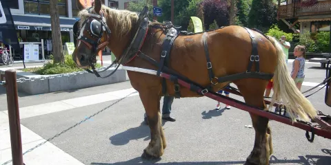 Morzine-Avoriaz Golf Club