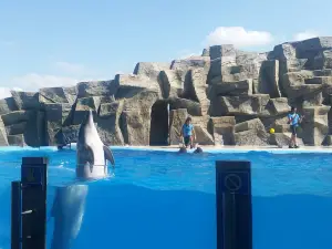 Batumi Dolphinarium