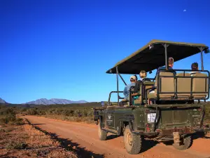 Buffelsdrift Game Lodge