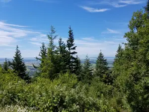 Little Mountain Park