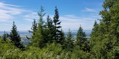 Little Mountain Park