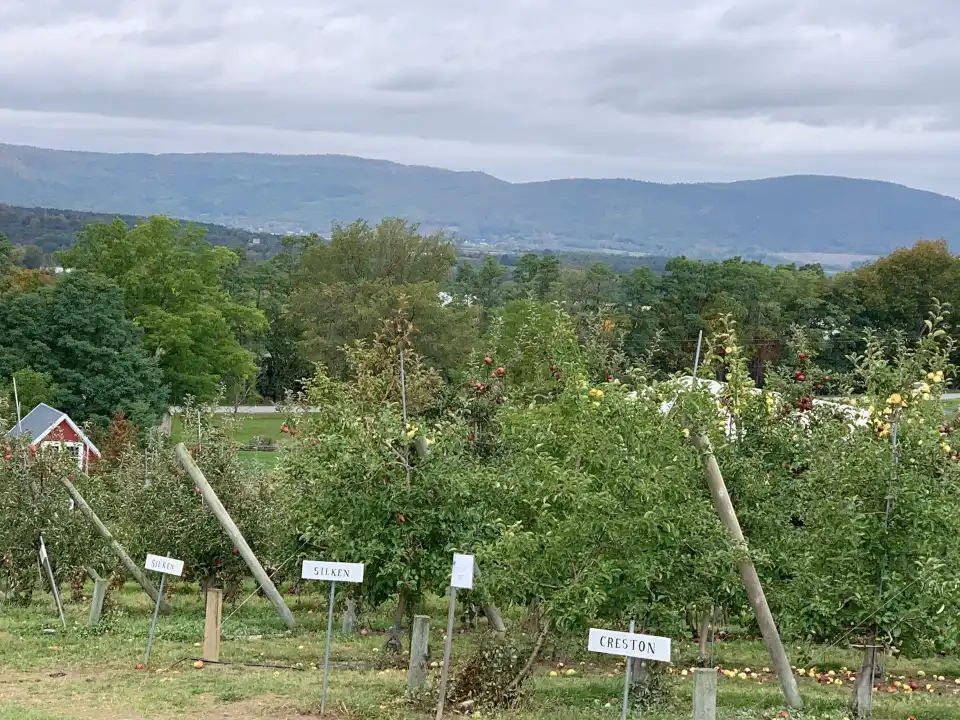 2_Champlain Orchards