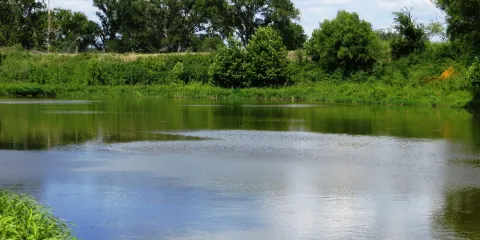 Plum Park on the Colorado