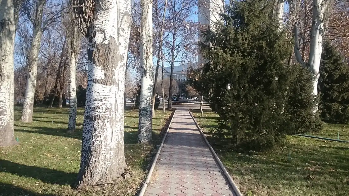 Hotels near Park Im. I. Panfilova