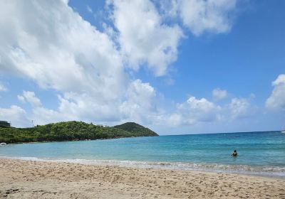 Charlotte Amalie West