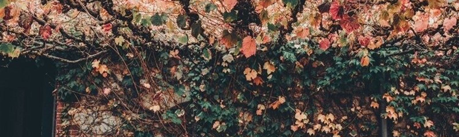 WoodcroftWi-Fi & SIM cards