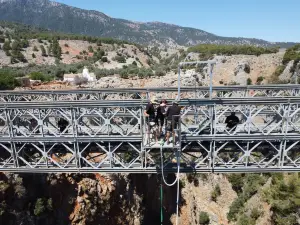 Liquid Bungy Aradaina