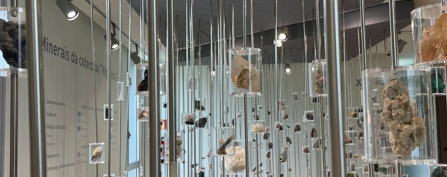 Museo de Historia Natural