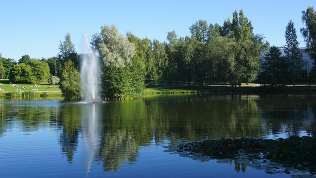 Duck Park (Sorsapuisto)