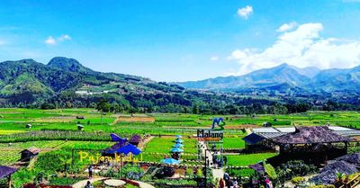 Desa Wisata Pujonkidul