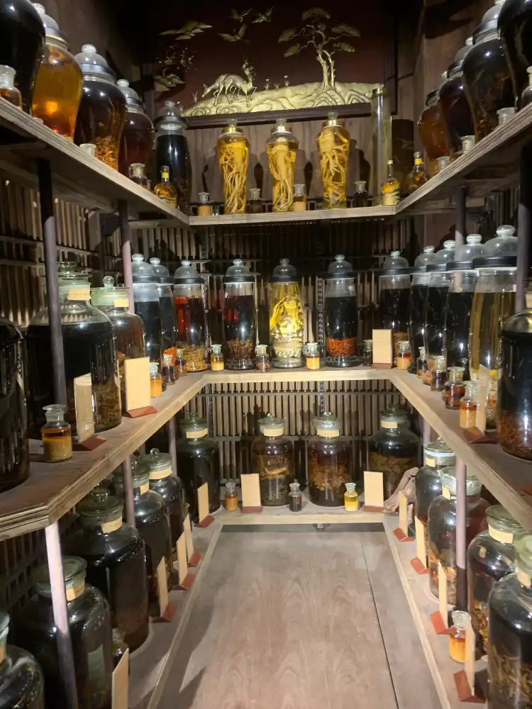 Các khách sạn ở Chánh Phú Hoà