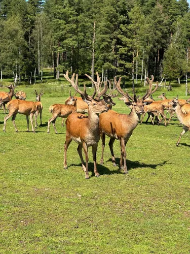 Nässjö