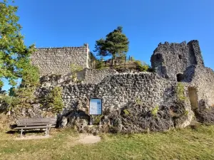 Бургруине Лихтенегг