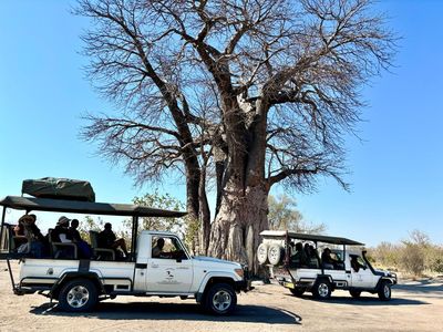 WildRidge Bushtrails safaris