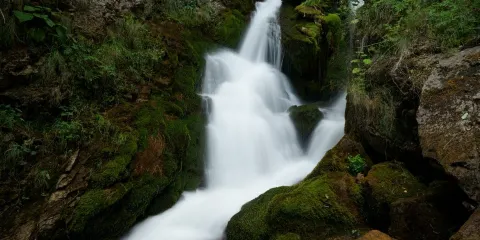 Borjomi-Kharagauli National Park