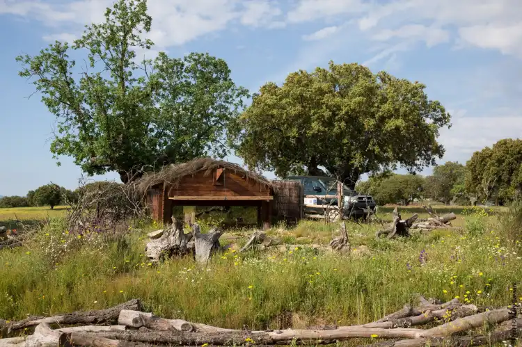 Hotels in Campo de Arganan