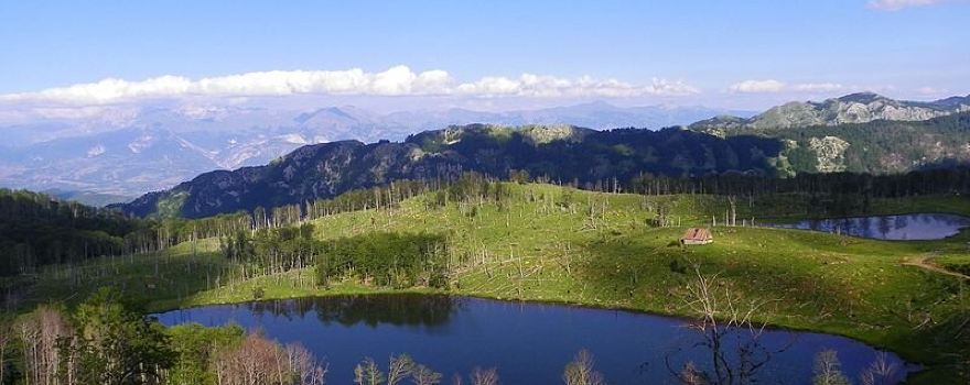 Diber District