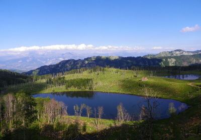 Diber