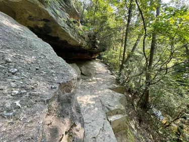 Alum Spring Park