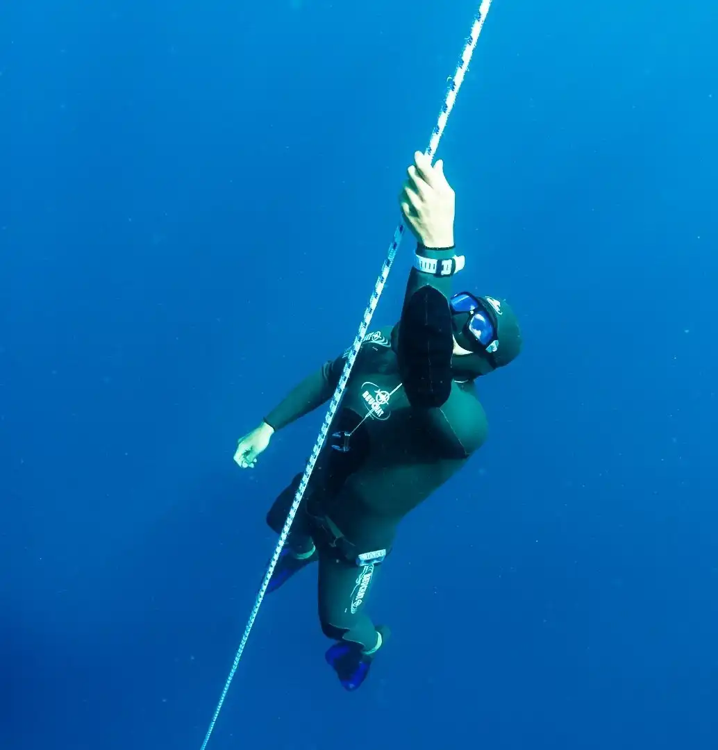 โรงแรมใกล้Freedive101