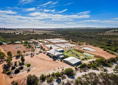Chapman Valley Fishing Park