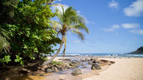 Custom Kauai