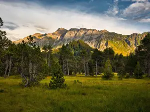 Bergbahnen Sörenberg AG