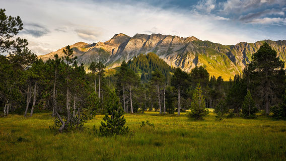 Bergbahnen Sörenberg AG