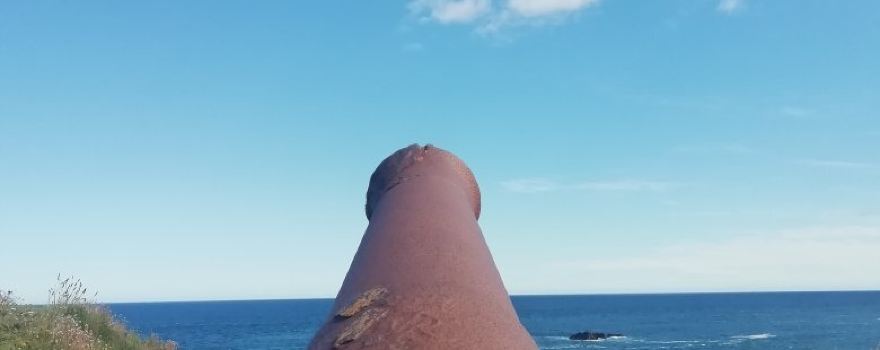 Eyemouth Fort