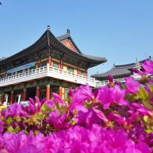도림사