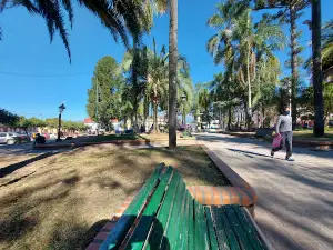 Plaza Coronel Jorge Torino de Viana