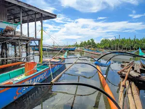 Maribuhok