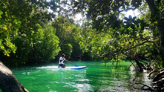 Esup Stand up Paddle Watamu - Exclusive Eco Excursions