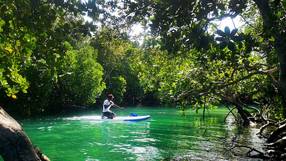 Esup Stand up Paddle Watamu - Exclusive Eco Excursions