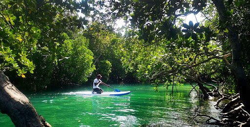 Esup Stand up Paddle Watamu - Exclusive Eco Excursions
