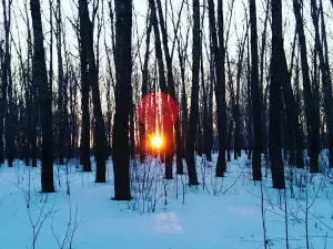 Центральный парк